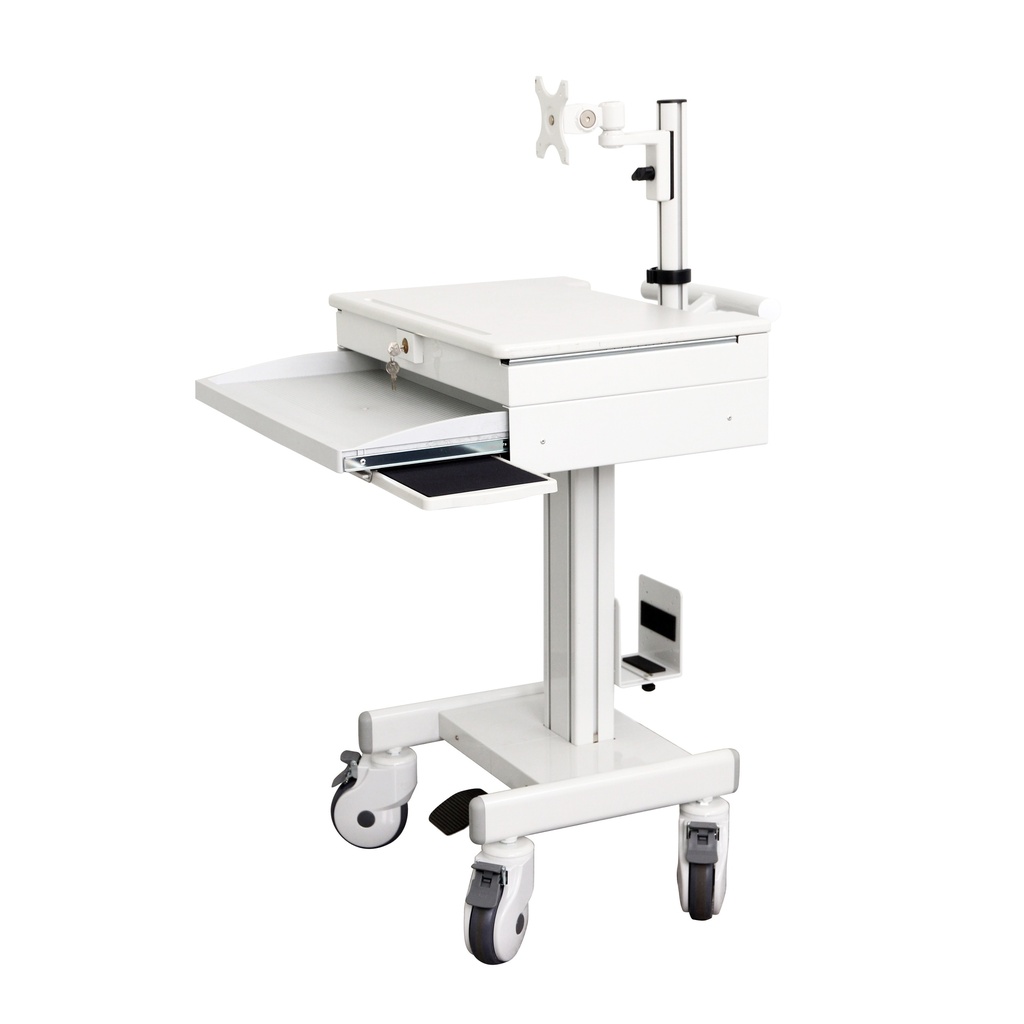 Mobile computing cart with monitor Arm