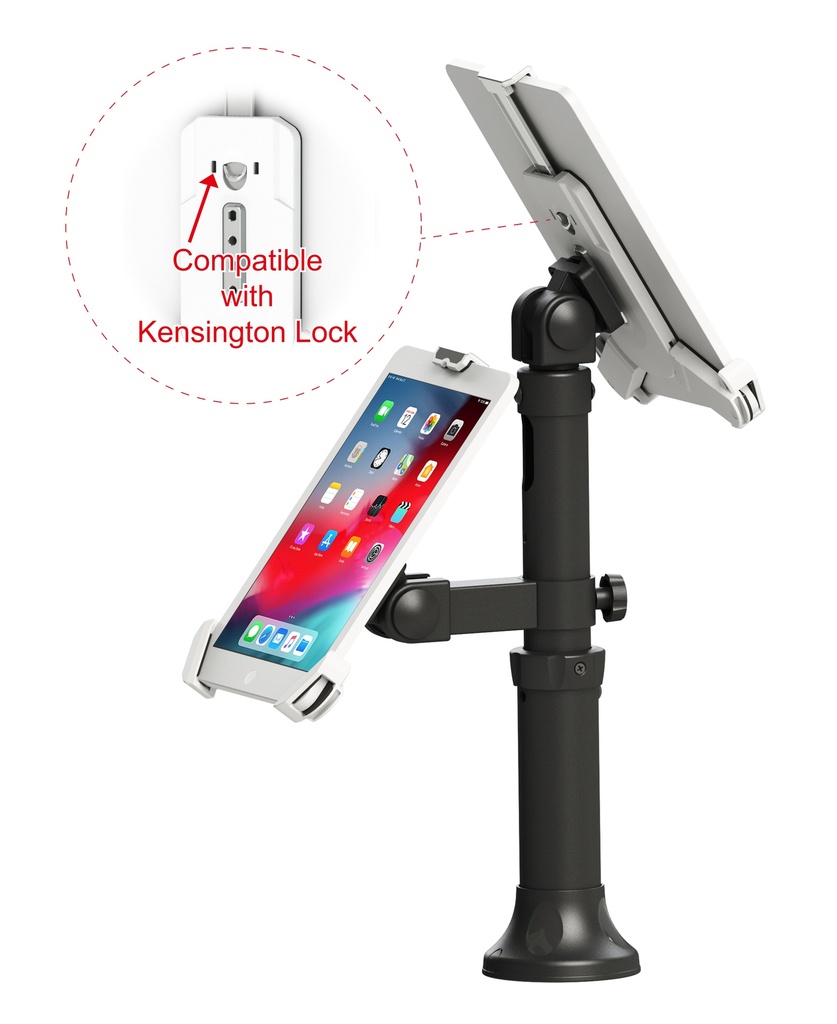 Dual Tablet POS Stand (7.9"-13")